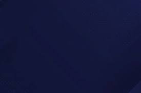 日本职棒：阪神虎队由于核心球员流失，宣布 2026 将重用本土新人王