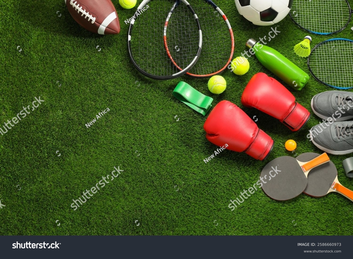 《巫师》原作者：对《巫师4》几乎一无所知