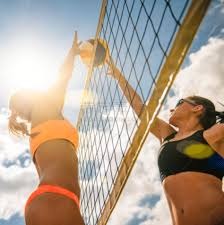 industry-portal-overview