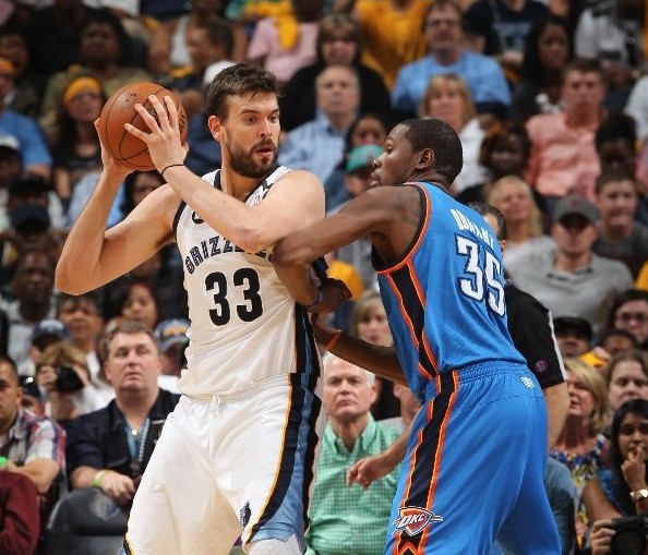 家庭犹豫参 家庭犹豫参